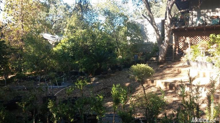 3920 Rustic Rd, Cameron Park, CA 95682 photo 19