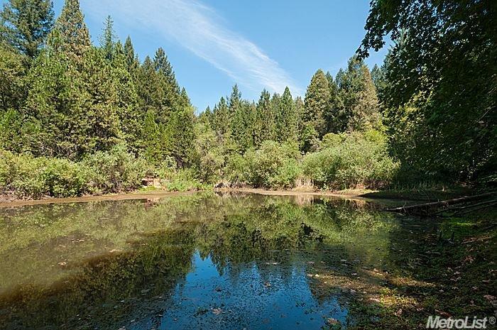 2835 Hewenthatta Way, Placerville, CA 95667 photo 14