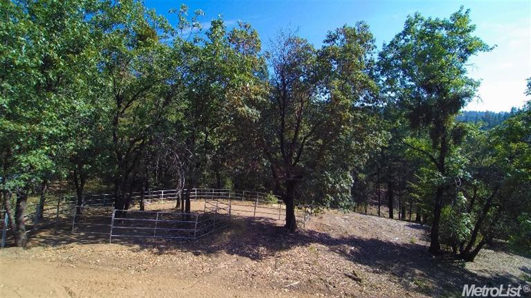 4095 Pine Mountain Rd, Foresthill, CA 95631 photo 23