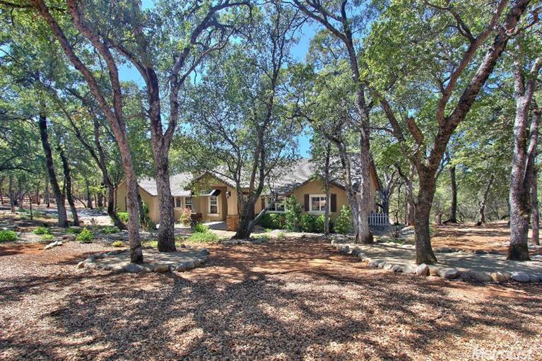 1832 Dormity Rd, Rescue, CA 95672 photo 24