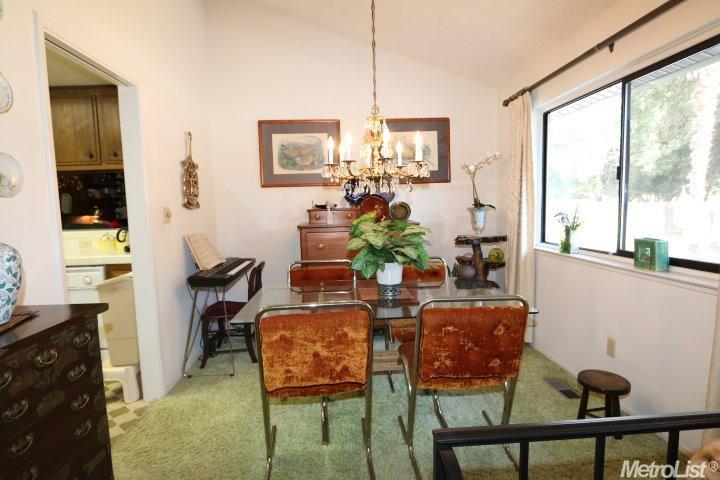 1110 Canebreak Ct, Carmichael, CA 95608 photo 8