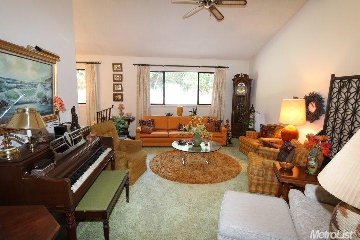 1110 Canebreak Ct, Carmichael, CA 95608 photo 9