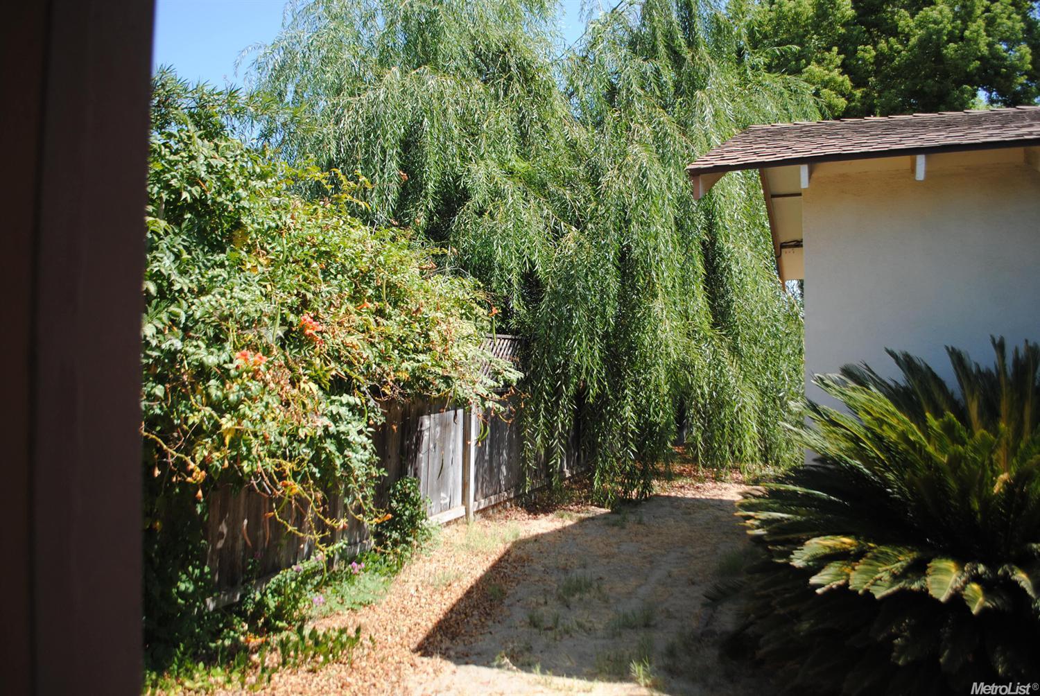 601 Danny Ave, Turlock, CA 95382 photo 13