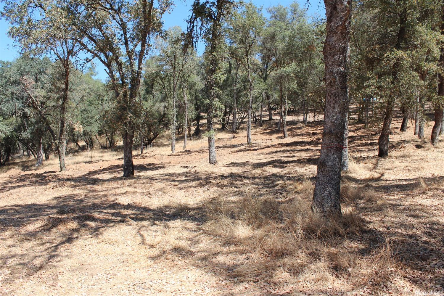 5350 Grassy Run Rd, Placerville, CA 95667 photo 14