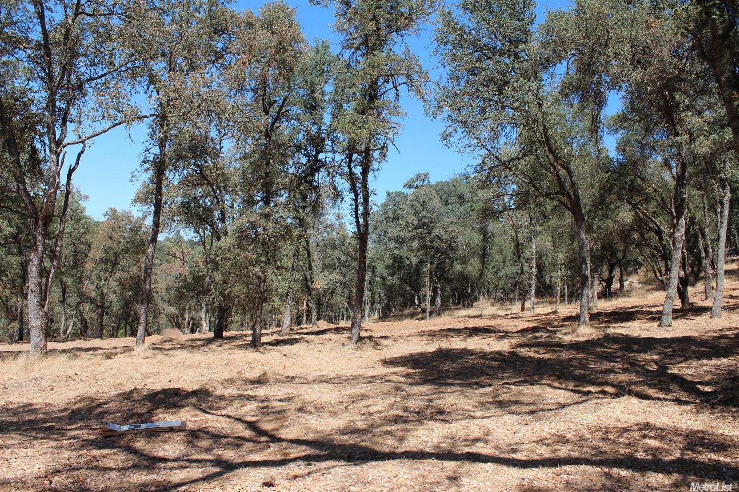 5350 Grassy Run Rd, Placerville, CA 95667 photo 17