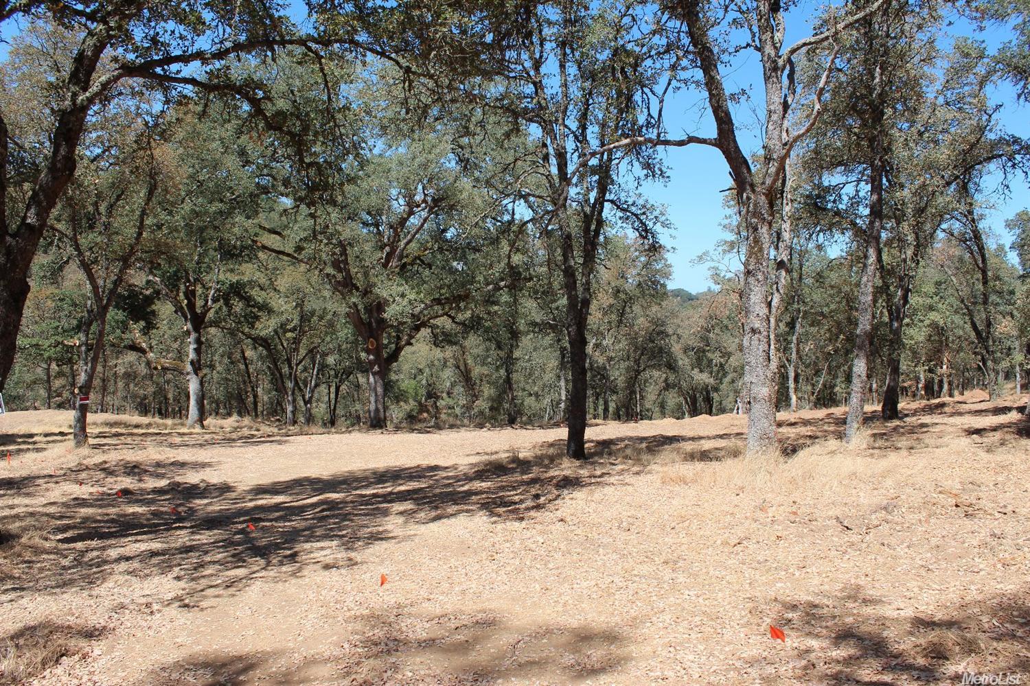 5350 Grassy Run Rd, Placerville, CA 95667 photo 5