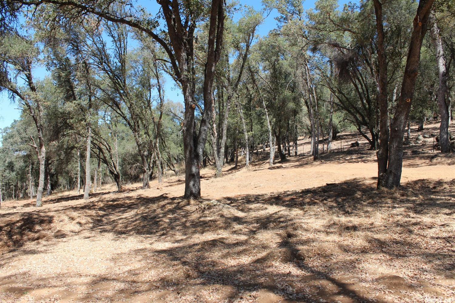 5350 Grassy Run Rd, Placerville, CA 95667 photo 19