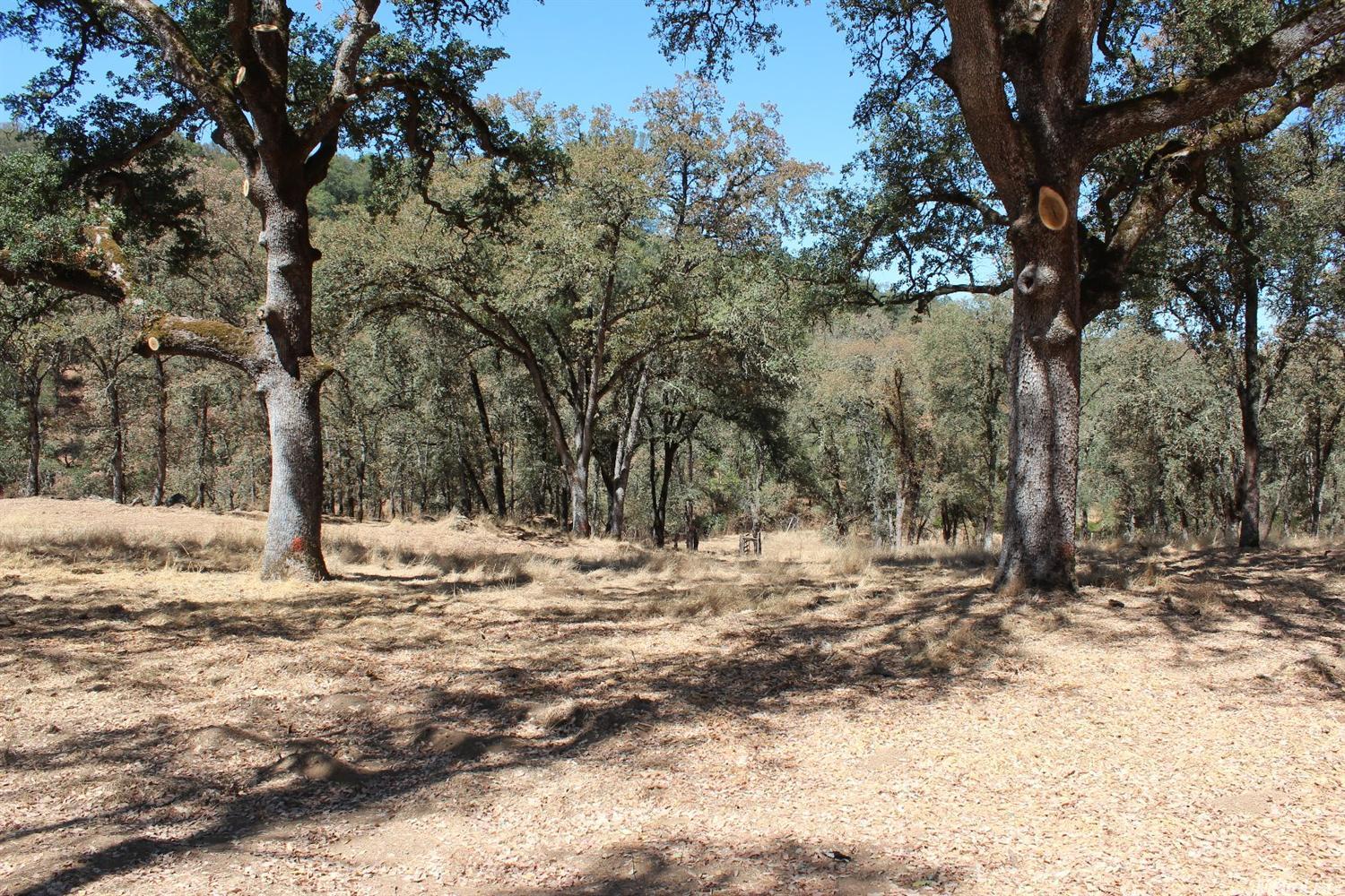 5350 Grassy Run Rd, Placerville, CA 95667 photo 8