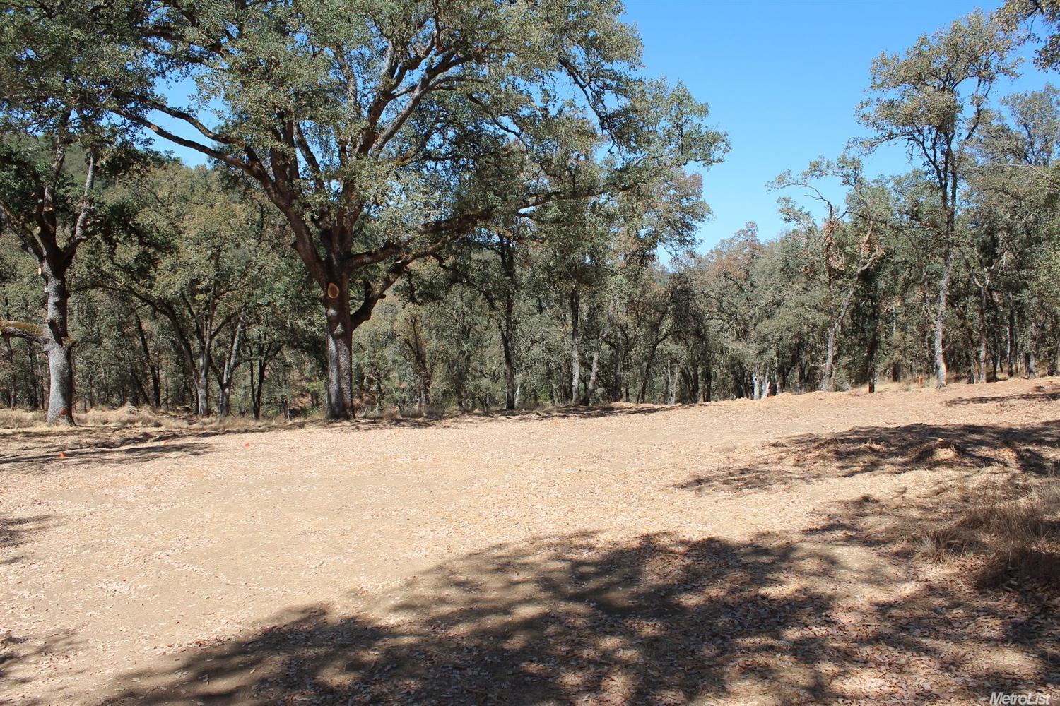 5350 Grassy Run Rd, Placerville, CA 95667 photo 7