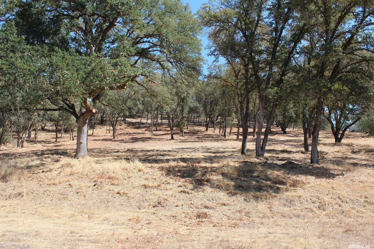 5350 Grassy Run Rd, Placerville, CA 95667 photo 9