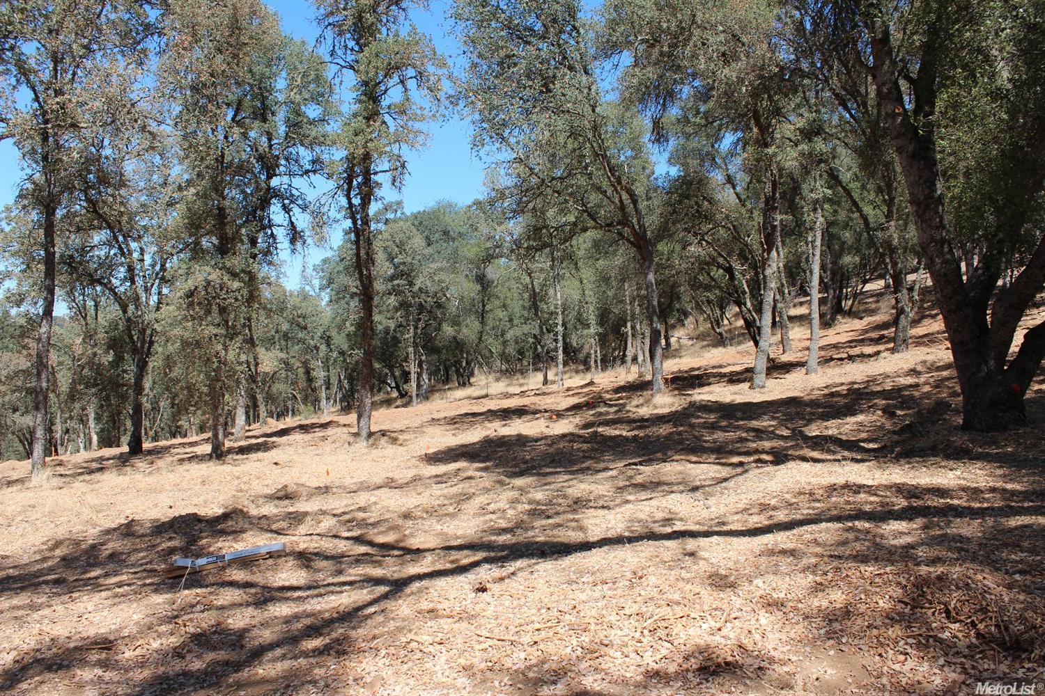 5350 Grassy Run Rd, Placerville, CA 95667 photo 16