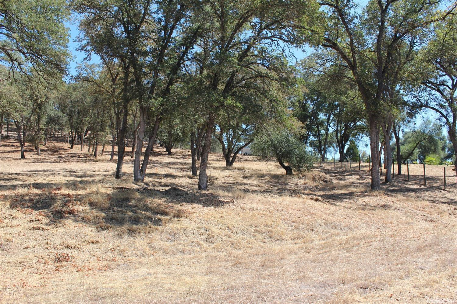 5350 Grassy Run Rd, Placerville, CA 95667 photo 10