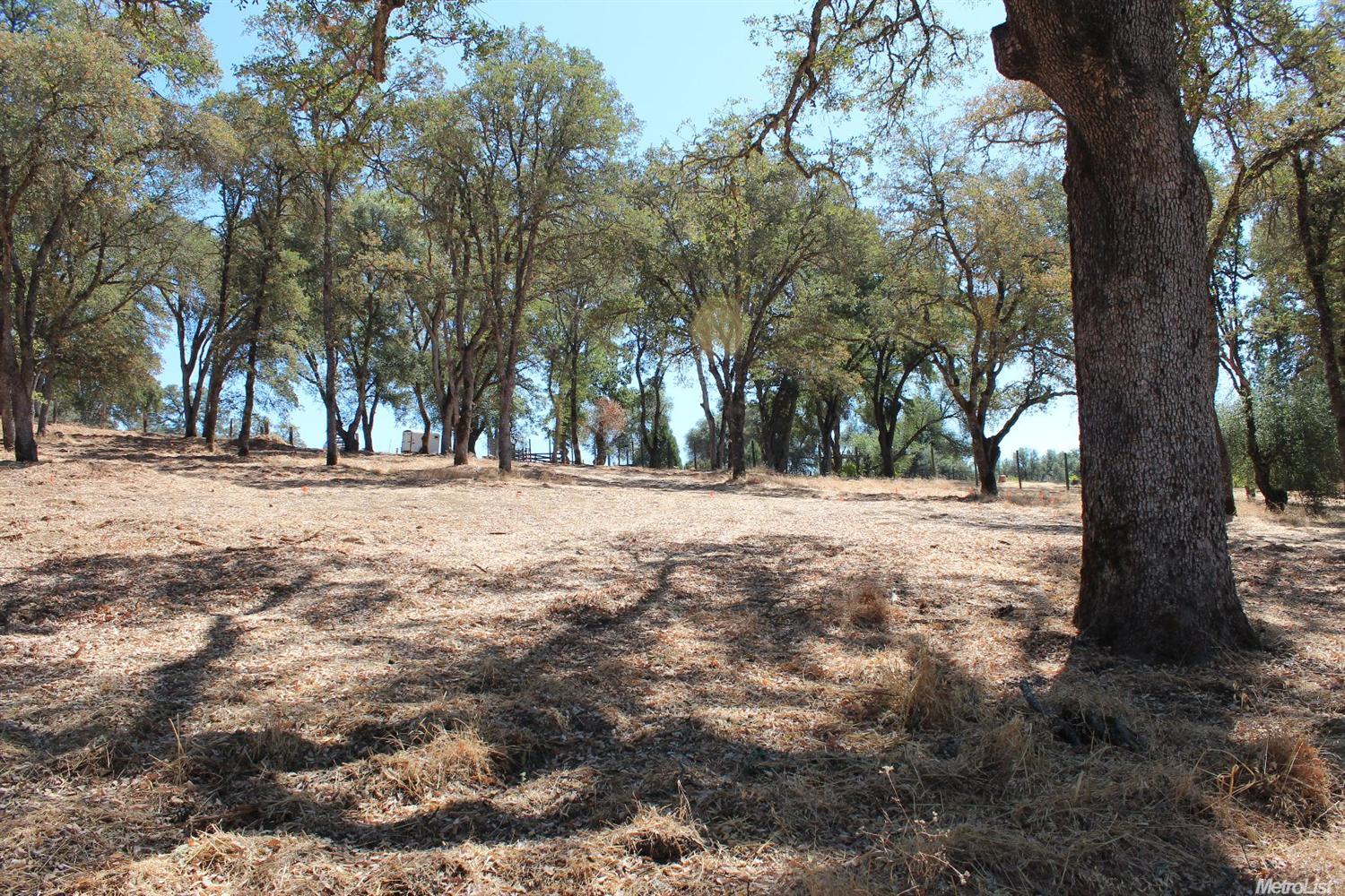 5350 Grassy Run Rd, Placerville, CA 95667 photo 21