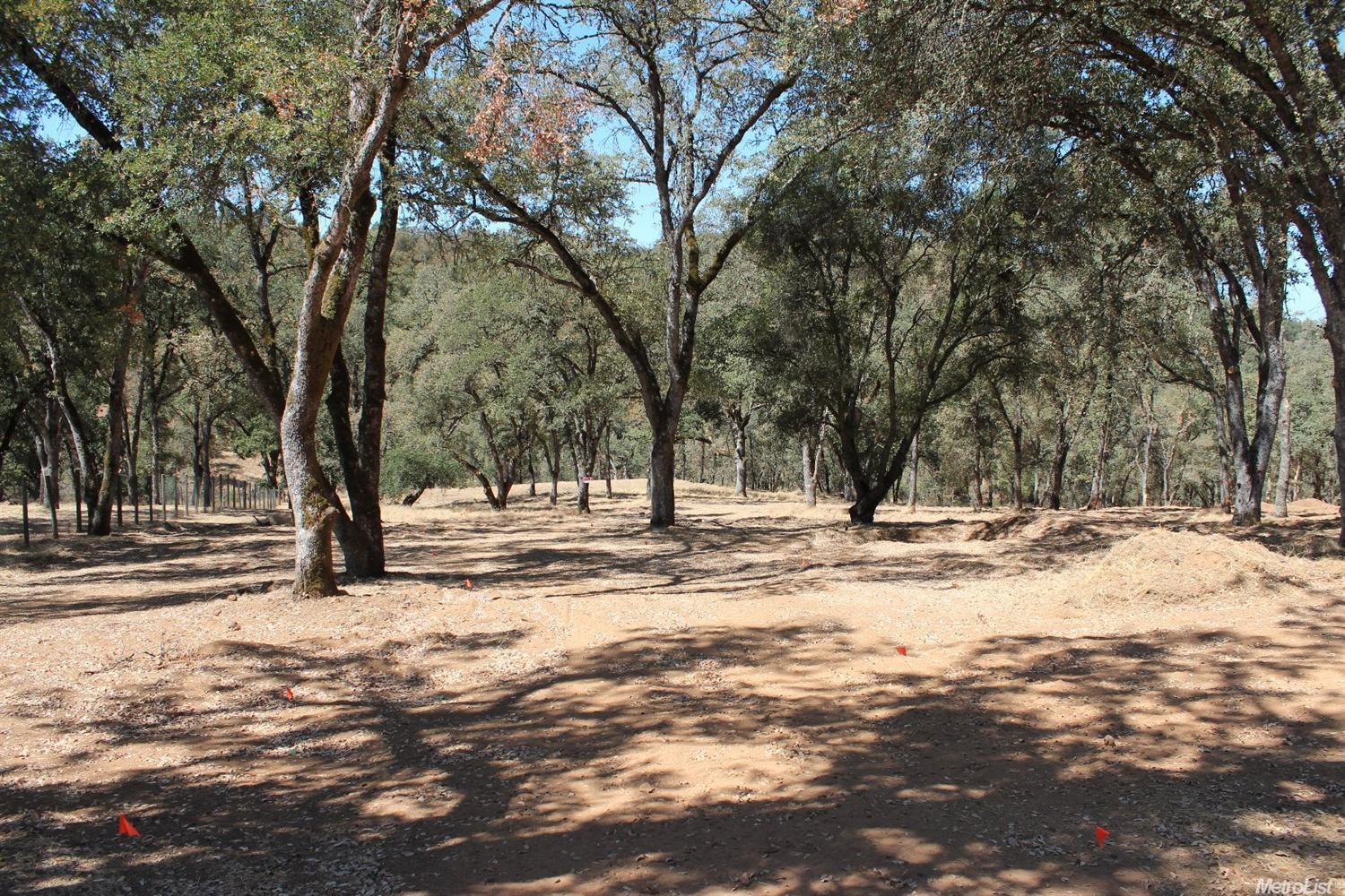 5350 Grassy Run Rd, Placerville, CA 95667 photo 1