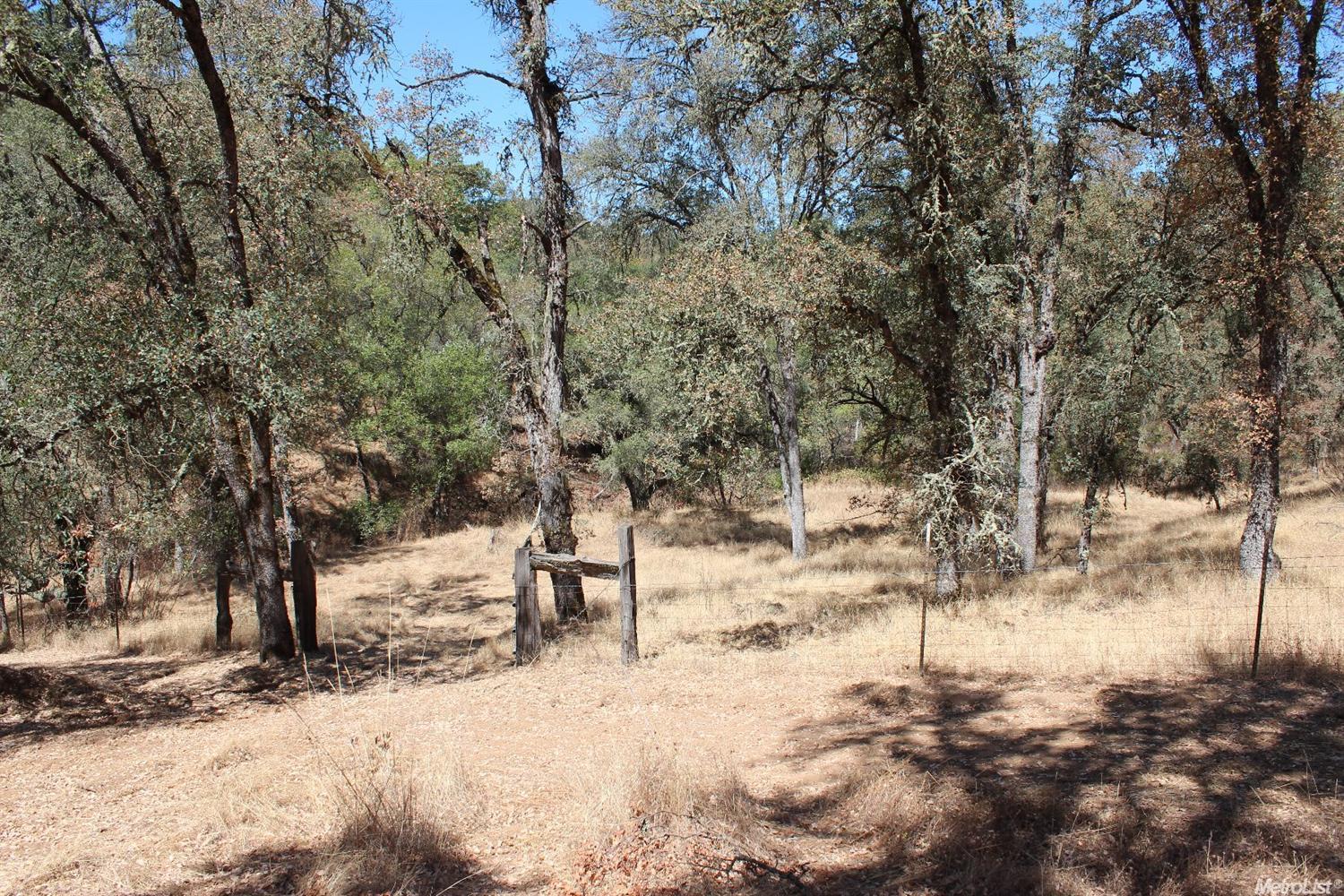 5350 Grassy Run Rd, Placerville, CA 95667 photo 11