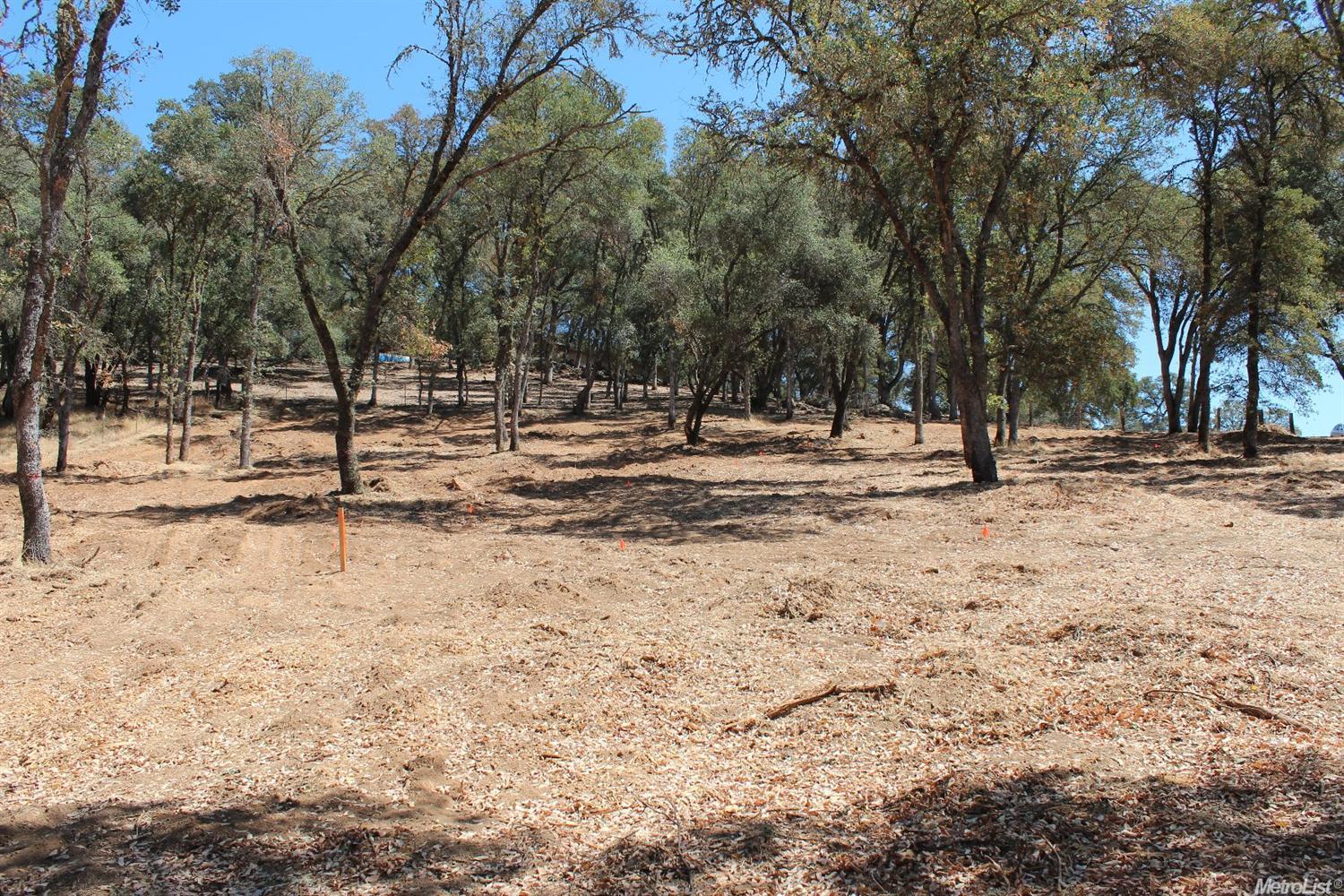 5350 Grassy Run Rd, Placerville, CA 95667 photo 13