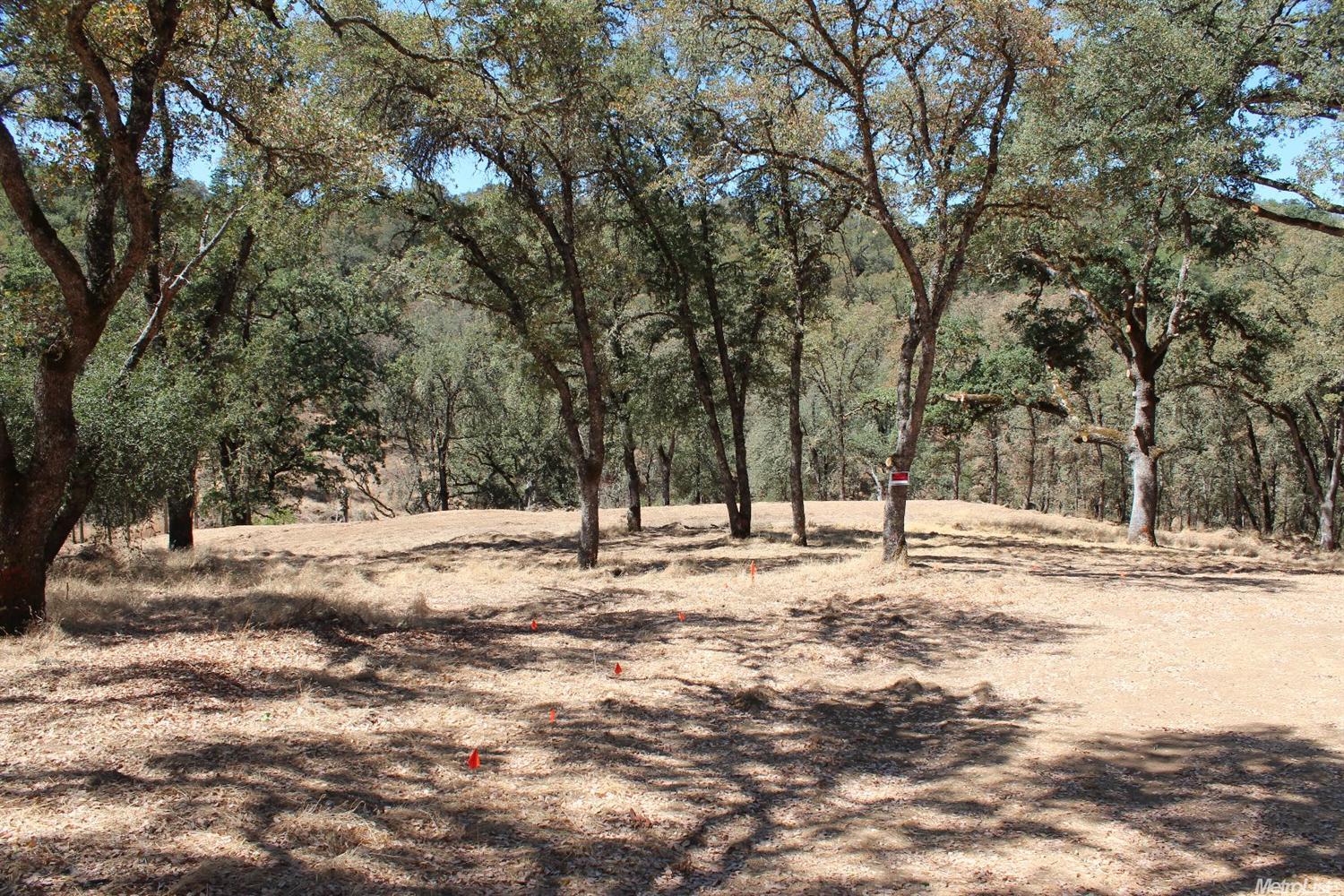 5350 Grassy Run Rd, Placerville, CA 95667 photo 6