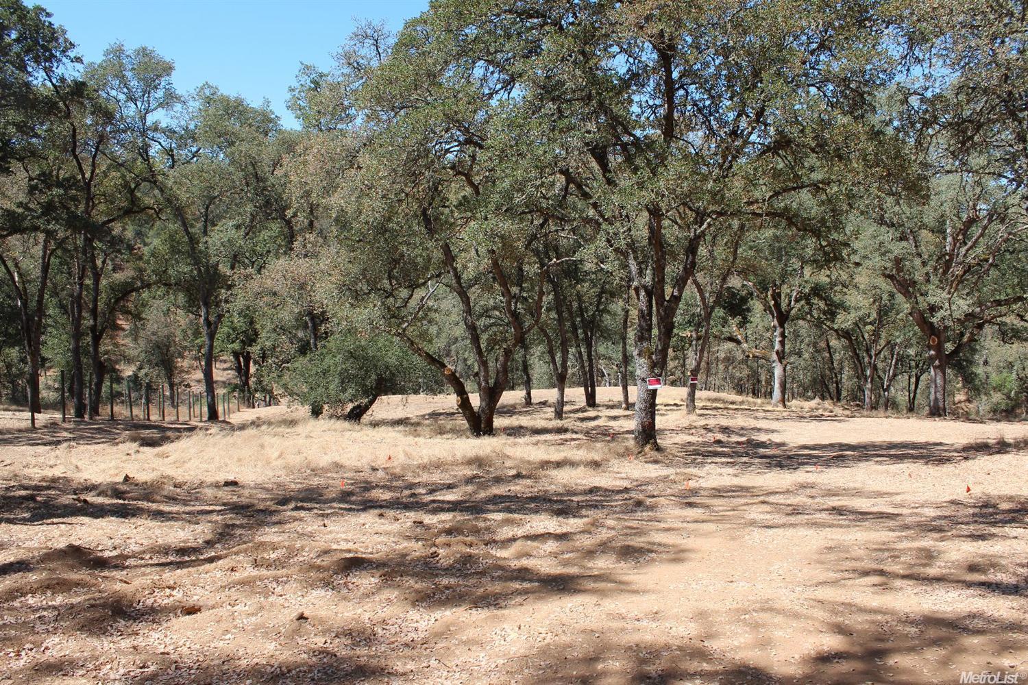 5350 Grassy Run Rd, Placerville, CA 95667 photo 4