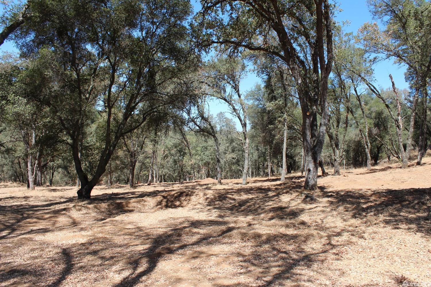 5350 Grassy Run Rd, Placerville, CA 95667 photo 3