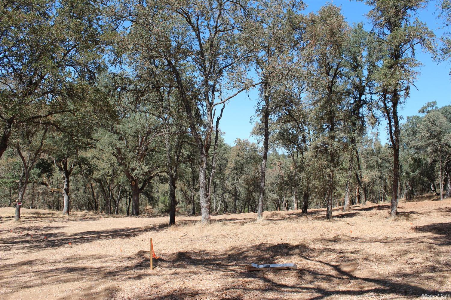 5350 Grassy Run Rd, Placerville, CA 95667 photo 18