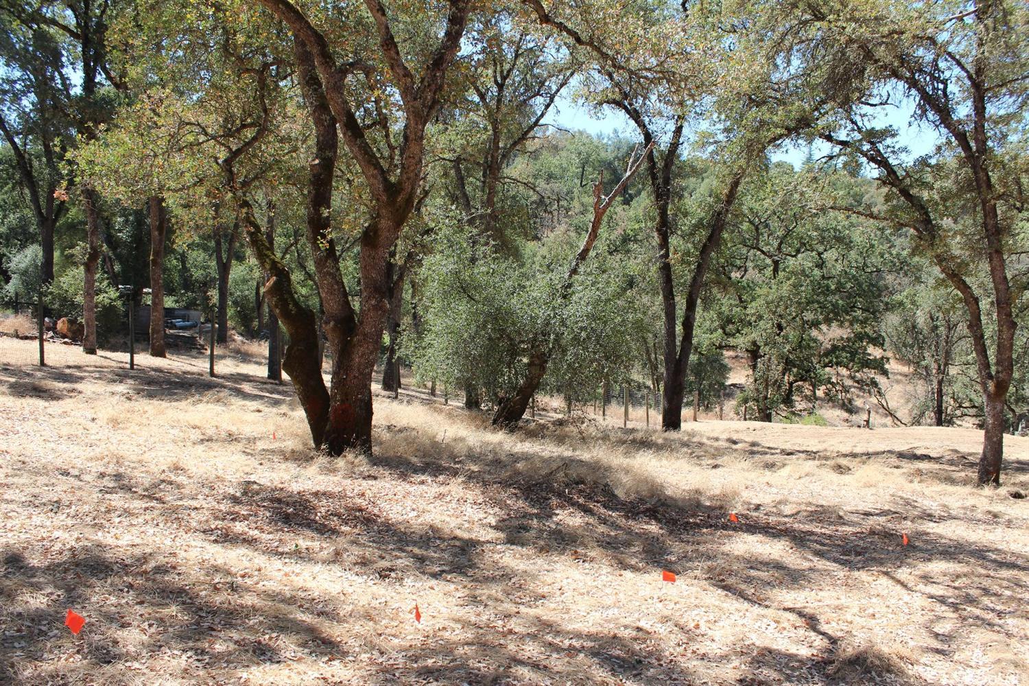 5350 Grassy Run Rd, Placerville, CA 95667 photo 15