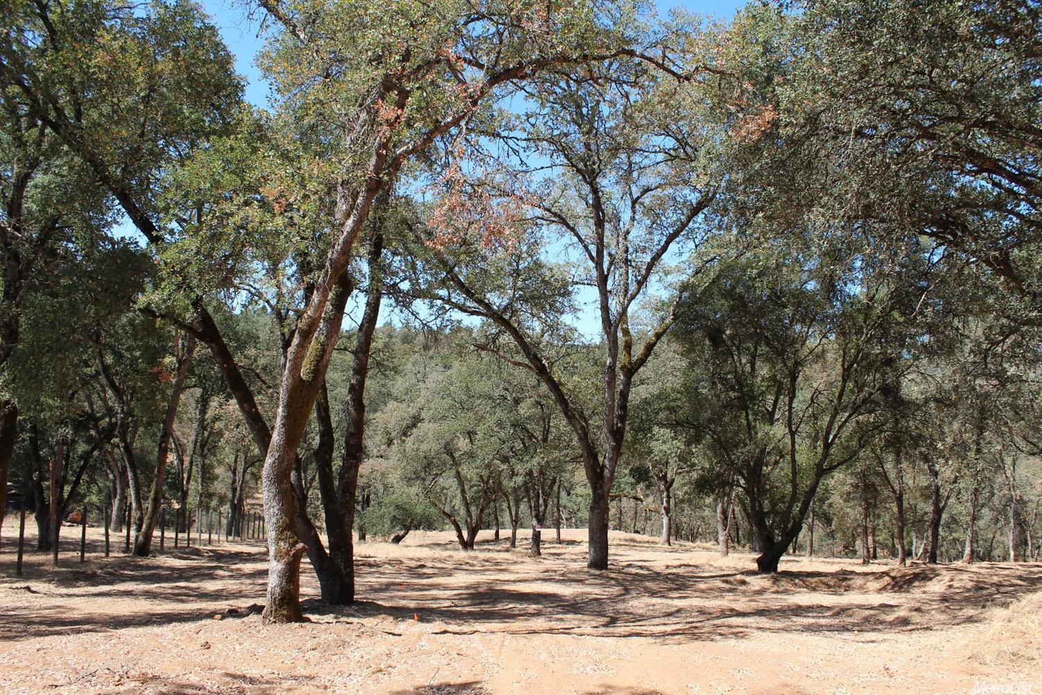 5350 Grassy Run Rd, Placerville, CA 95667 photo 20