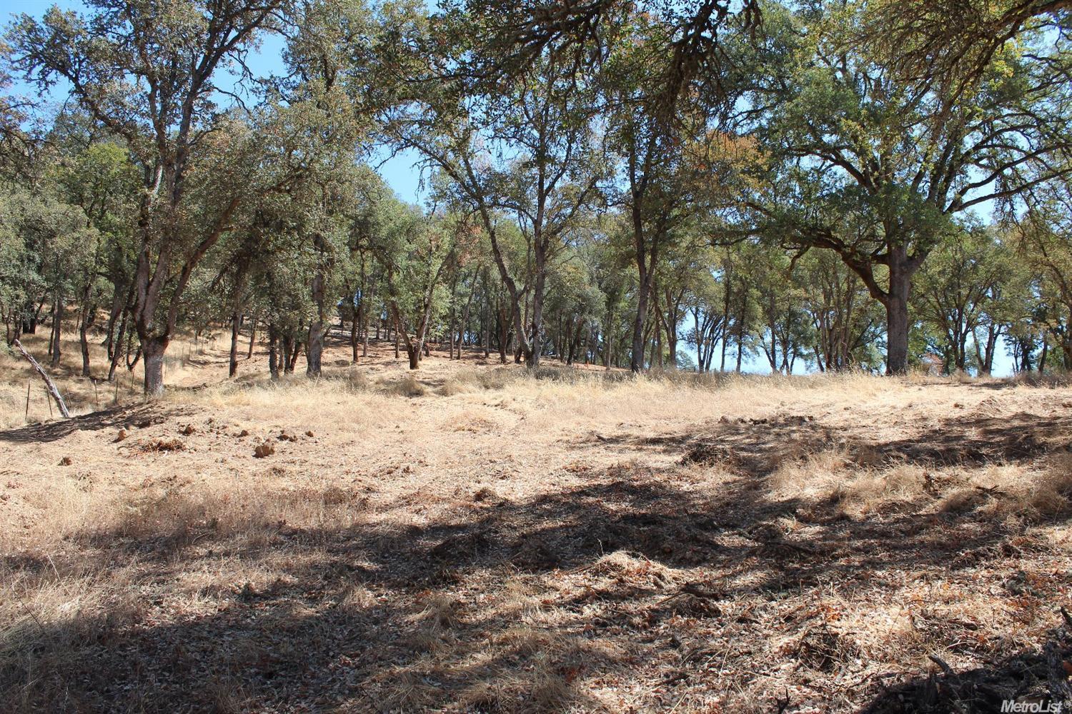 5350 Grassy Run Rd, Placerville, CA 95667 photo 12