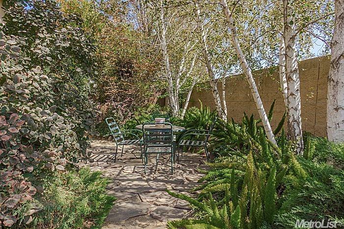 3520 Arroyo Ave, Davis, CA 95618 photo 10