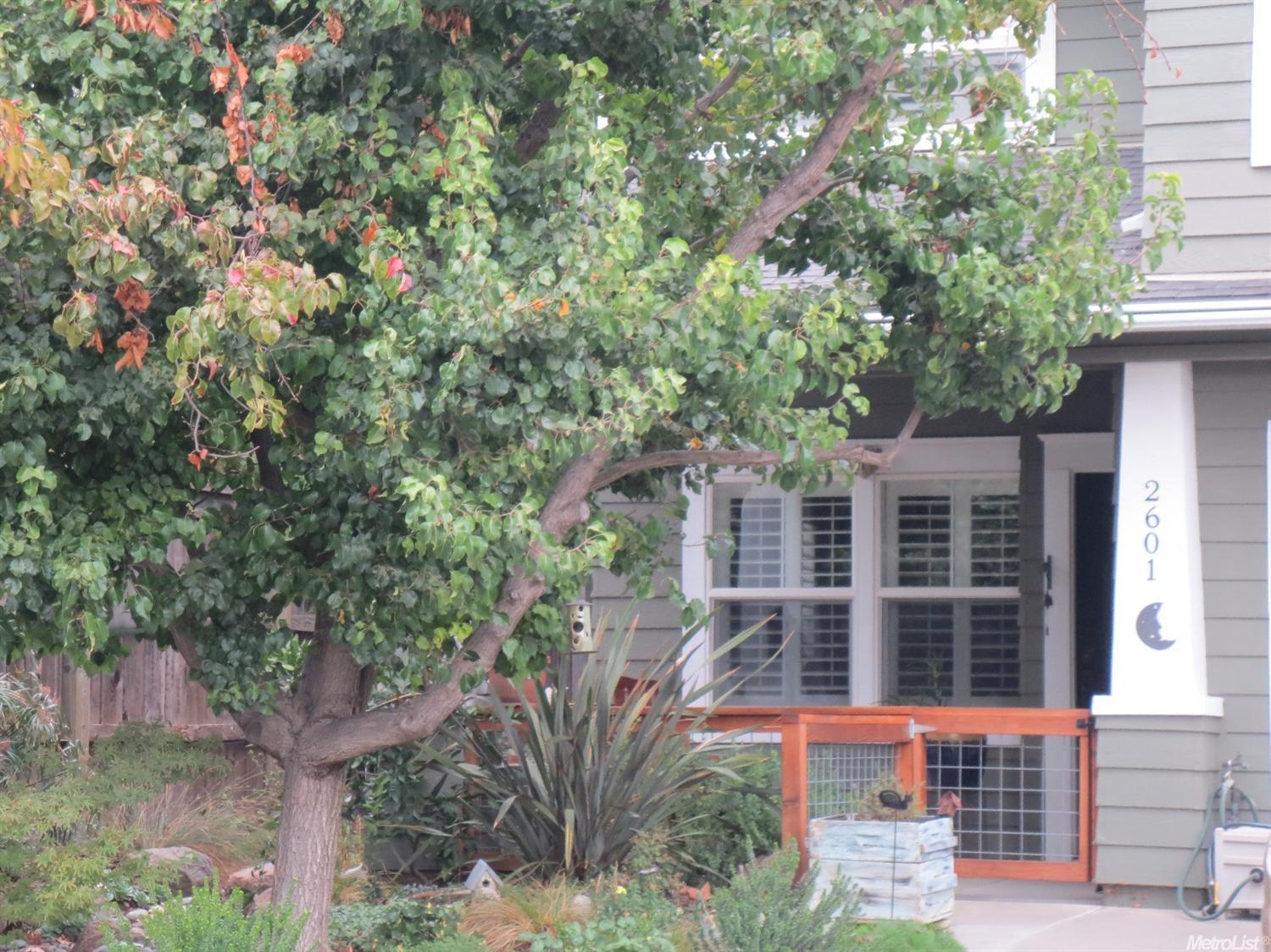 2601 Albany Ave, Davis, CA 95618 photo 21