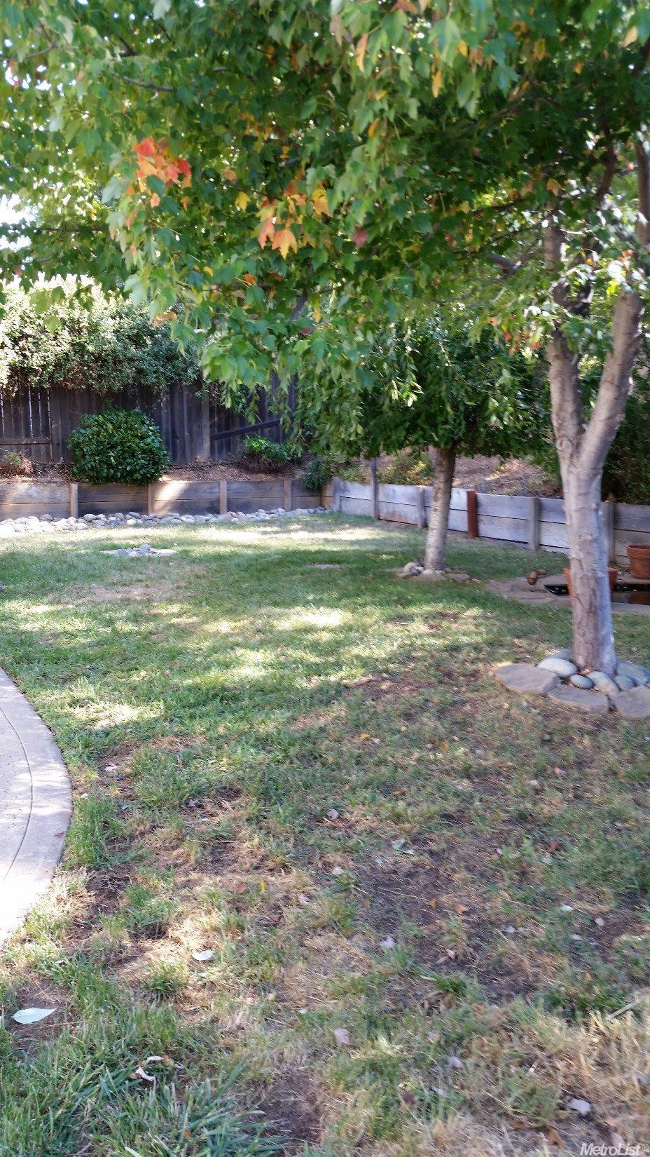 222 Glendale Rd, Colfax, CA 95713 photo 9