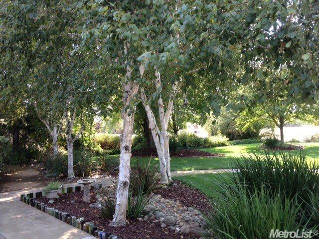 10215 Davis Rd, Wilton, CA 95693 photo 5