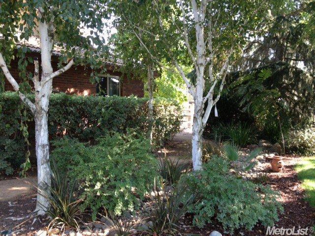 10215 Davis Rd, Wilton, CA 95693 photo 4