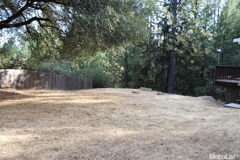 551 Washington Irving Dr, Colfax, CA 95713 photo 2