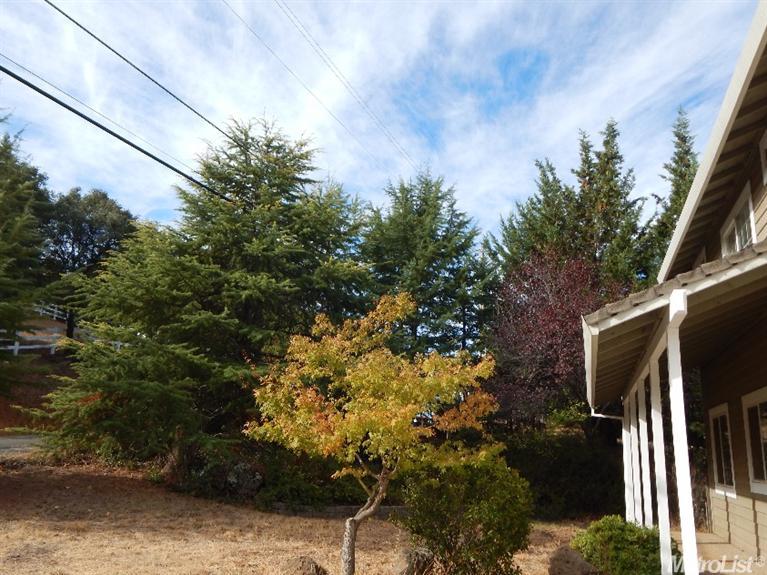 1801 American River Trl, Cool, CA 95614 photo 3