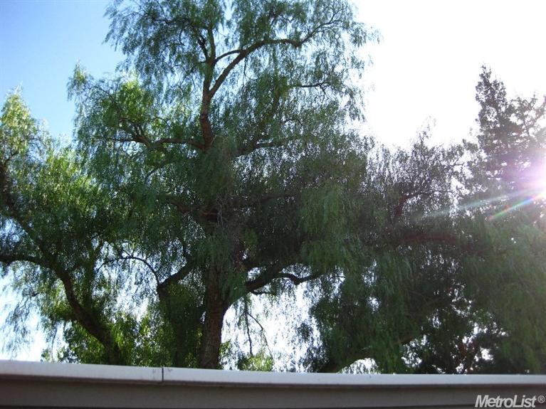 2260 Chelmsford Dr, Modesto, CA 95356 photo 17