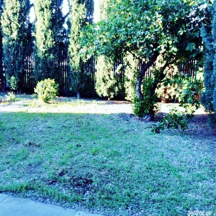 2204 Whitcomb Way, Modesto, CA 95350 photo 12