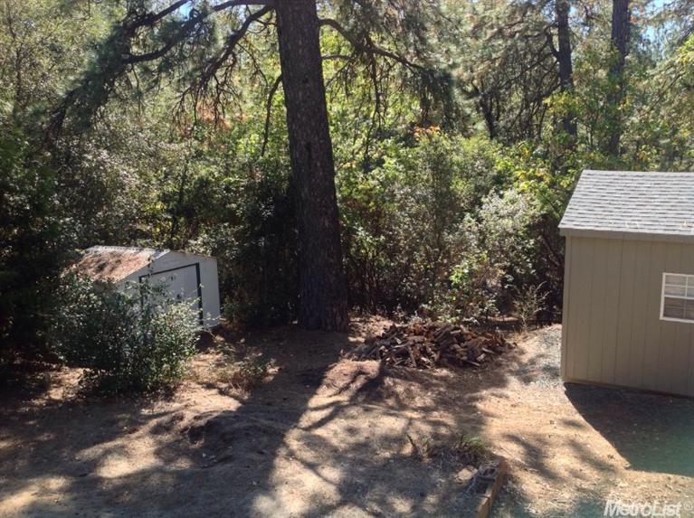18850 Applegate Rd, Applegate, CA 95703 photo 9