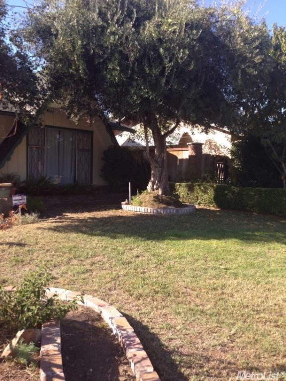 1136 Mt Vernon, Modesto, CA 95350 photo 6