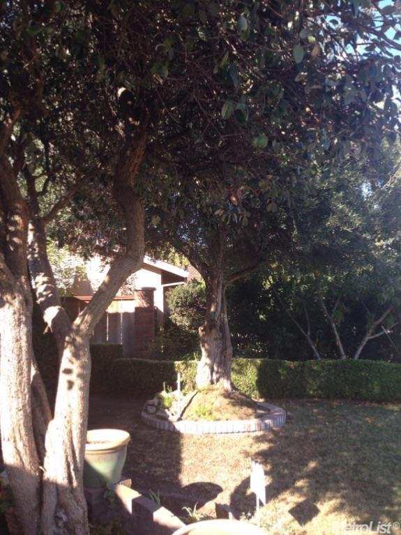 1136 Mt Vernon, Modesto, CA 95350 photo 4