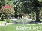 3701 Colonial #79, Modesto, CA 95356 photo 10