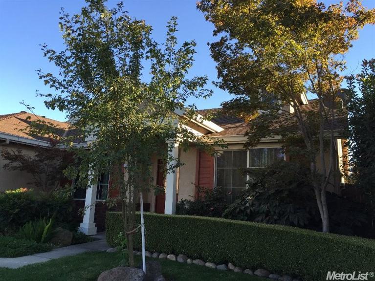176 W Springer Dr, Turlock, CA 95382 photo 3