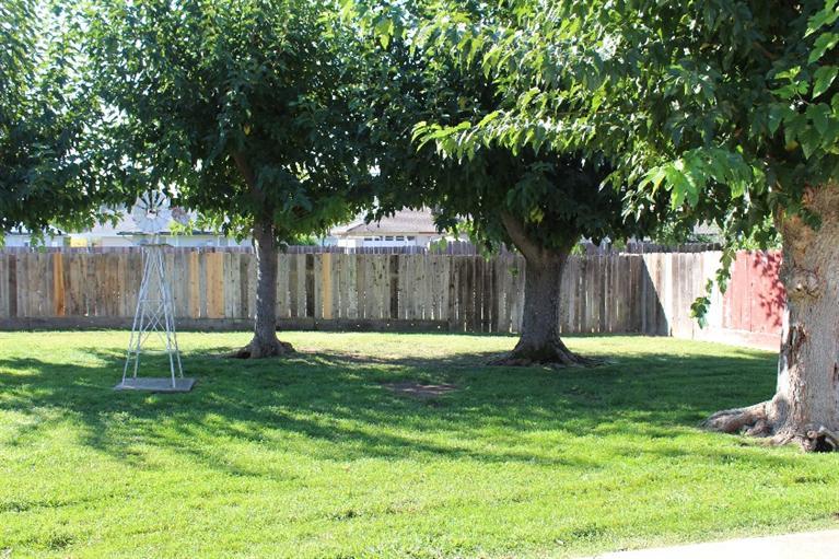 612 Daisy, Lodi, CA 95240 photo 18