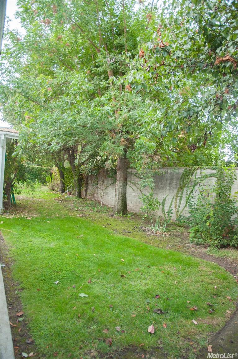 145 Orange Ave, Ripon, CA 95366 photo 21