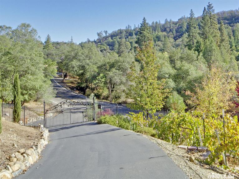 3445 Cedar Ravine Rd, Placerville, CA 95667 photo 9