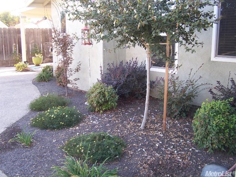 900 Guava Dr, Modesto, CA 95356 photo 22