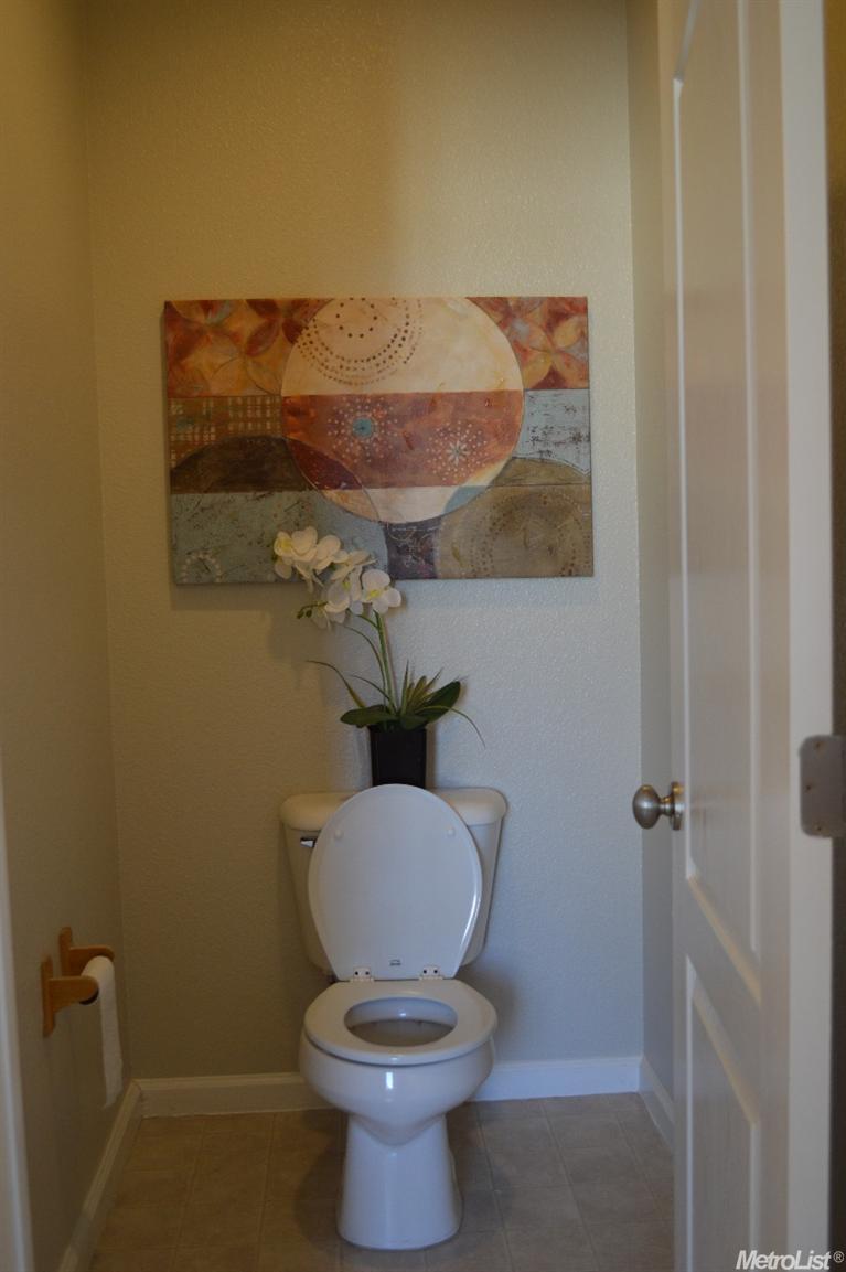 17449 Pheasant Downs Rd, Lathrop, CA 95330 photo 6