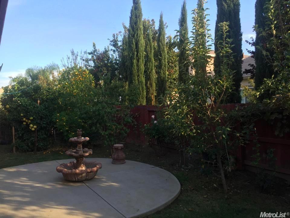 1224 Jasmine Dr, Patterson, CA 95363 photo 24