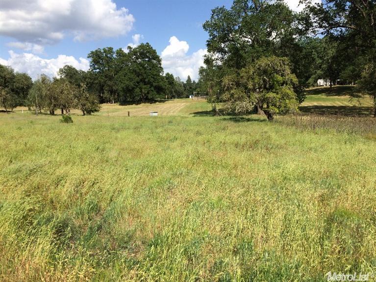 1300 Boole Rd, Applegate, CA 95703 photo 3