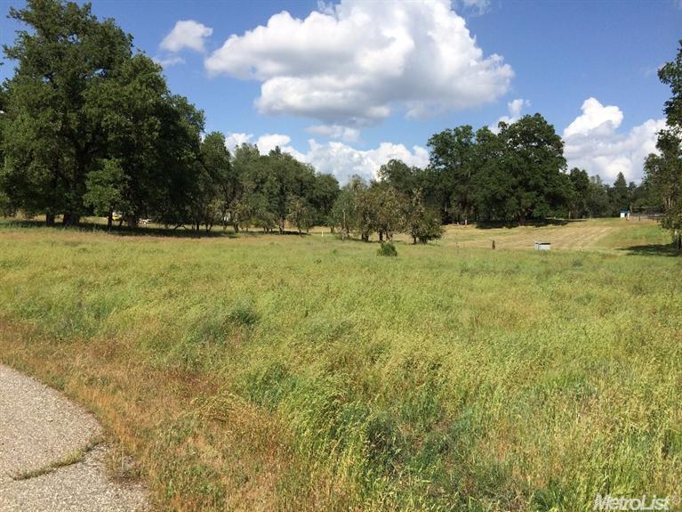 1300 Boole Rd, Applegate, CA 95703 photo 2