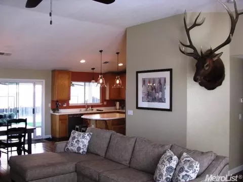 7429 Morgan Lynn Ln, Hughson, CA 95326 photo 7